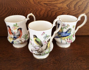 ROYAL WINDSOR CHINA Mugs - Birds - Blue Green Parakeet - Rose Breasted Grosbeak - Songbird
