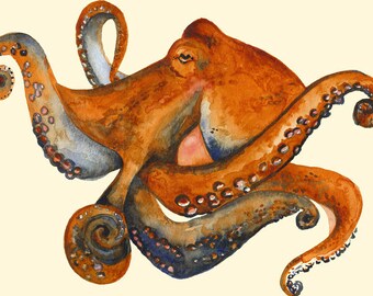 Octo- Octopus Art- 11 x 17 print