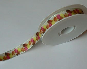 Ribbon macaroons background n ° 1 in 15 mm