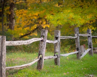 Autumn Days