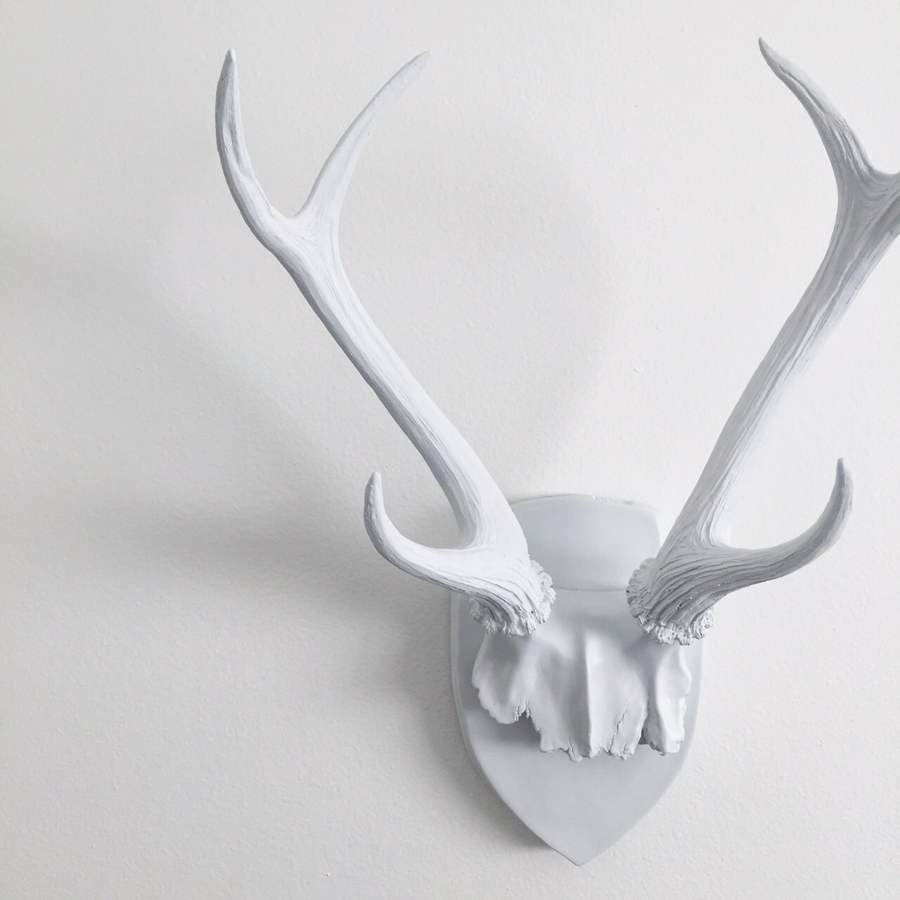 enchanting moose antler template gallery resume ideas