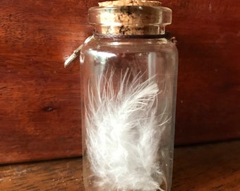 Angel wings for an angel