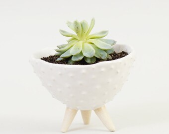 Blanc pot en céramique moderne hérissés planteur ~ plante d’intérieur Pot Pot plante blanche bol en céramique plat en céramique ~ cache-pot en céramique fait à la main jardinière
