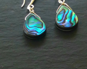 Real abalone earrings sterling silver earrings abalone jewelry abalone earrings wedding abalone teardrop bridal earrings gift for her