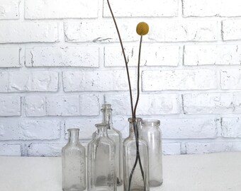 Vintage Glass Bottles