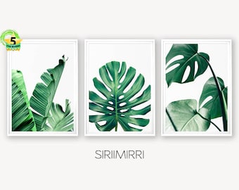 Set of 3 Tropical Leaf Print Set Monstera Leaf Palm Banana Leaf Foliage Green Leaves Wall Art Tropical Decor Botanical Coastal Art Desert