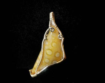 Wire Wrapped Fossil Coral Pendant
