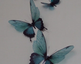 4 Luxury Amazing Teal Blue Butterflies 3D Butterfly Wall Art 4 Luxury Amazing Teal Blue Butterflies 3D Butterfly Wall Art