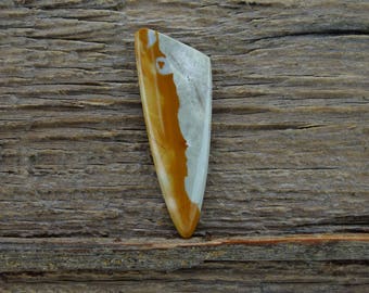 Owyhee Picture Jasper Cabochon