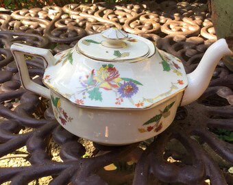 Rare John Maddock & Sons Tea/Coffee Pot-Ivory with Multi Colored Floral Design-Redg Shape