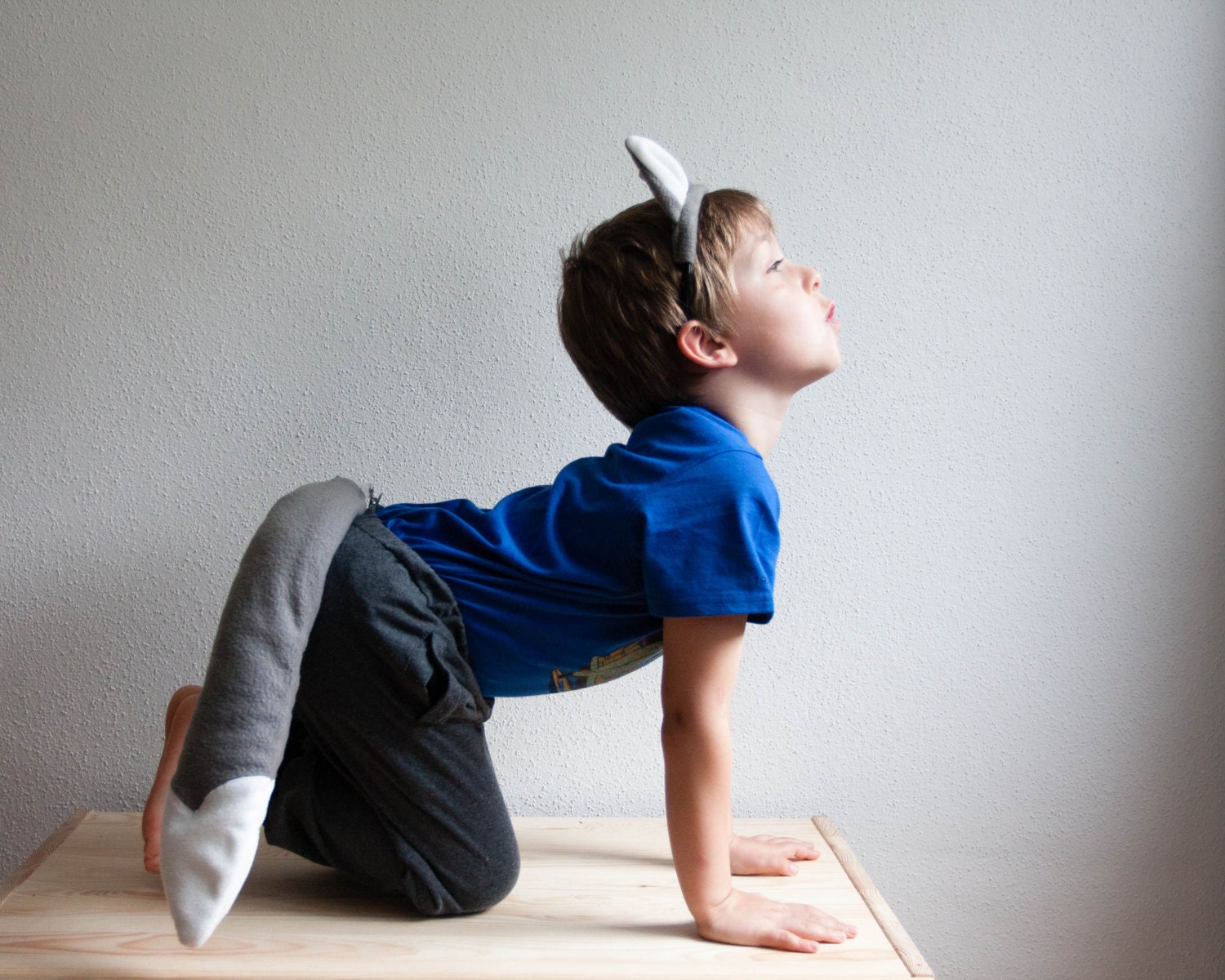 Wolf Tail and Wolf Ears Headband Wild Animal Halloween