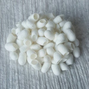 Silk Cocoons; 100 Natural Undyed cut silk cocoons, High Quality 'A' Grade (30g approx) Great for arts & crafts: Jewellery, Miniatures etc