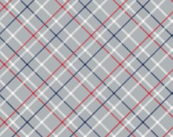 Riley Blake - Play Ball 2 Plaid