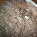 Salesman's sample Metallic copper lace 1910s to 1920s authentic antique deco pattern