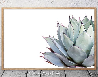Landscape orientation, Cactus Print, Succulent, Cactus, Gray, Aqua, Succulent Print, Botanical Print, Wall Art, Poster, Cactus Poster, #108