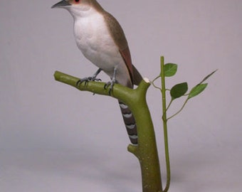 10" Black-billed Cuckoo Wood Bird Carving