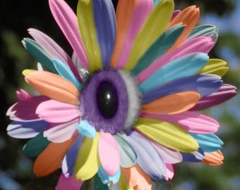 Wonderful Life 60+++ Rare Flower seeds Mix Rainbow Daisy seeds,chrysanthemum seeds,,natural Growth
