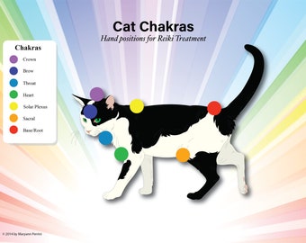 LAMINATED 7 Chakra Animal Pet Chart for Reiki Eastern Energy