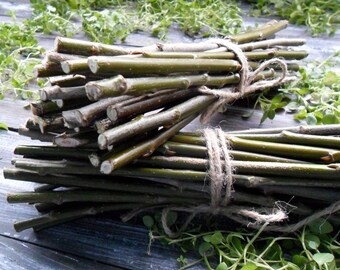 Willow branches Straight willow sticks DIY twig bundles 25 crafting twigs Decorative Branch Natural wood rustic home decor Spring decoration