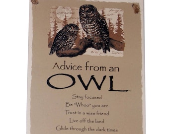 Advice from an Owl Novelty Inspirational 5.5"x8.5" Wood Plaque Sign