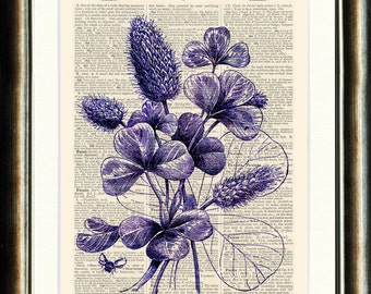 Clover - Choice of Colours Upcycled vintage image printed on a late 1800s Dictionary page Buy 3 get 1 FREE