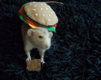 Hamburger Rat Costume