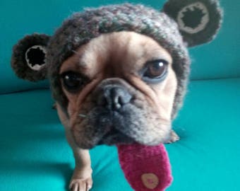 Frog hat for a French bulldog
