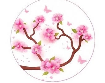 20mm, pink cherry blossoms