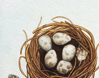 Bird's Nest Original Watercolour Painting