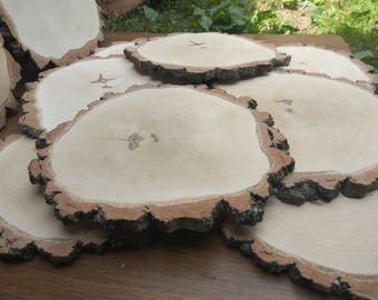 13-14 inch Large Birch Wood Slice,birch wood slice,wood slab,wood coaster,wood platter,Rustic Wedding Decor, Cake Stand, Wedding Centerpiece