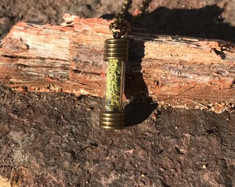 Moss filled glass vial pendant necklace real