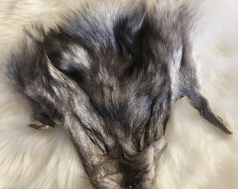 Taxidermy Blue Fox Mask - Tanned Leather