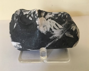 Chrysanthemum Stone Calcite crystal emitter of good energies, healing properties, calming, home, office, studio decor.