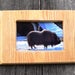 wood picture frame, 4 x 6 photo frame, rustic, live edge, wildlife photo, handmade, birthday gift, ash, rustic wall decor, musk ox.