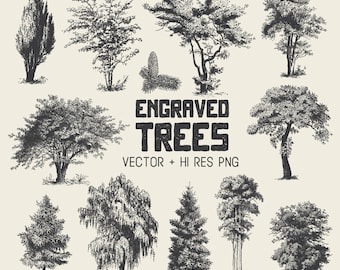 Tree Clipart Vector Pack - Vintage Hand Drawn Tree Engraving Clipart Clip Art PNG & Vector EPS, AI Design Elements Digital Instant Download