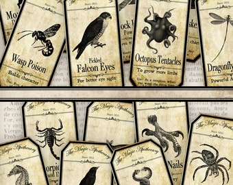 define apothecary