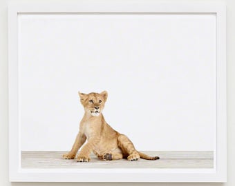 Baby Animal Nursery Art Print. Lion Cub. Animal Nursery Decor. Baby Animal Photo.