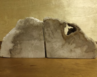 petrifed wood bookends