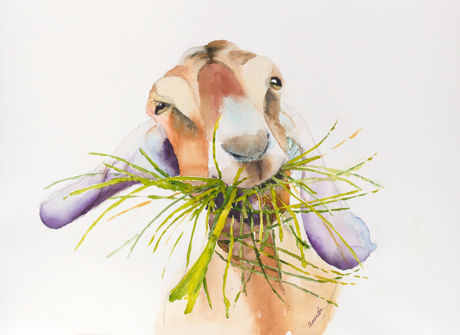 Goat watercolor painting original art print animal art