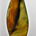 Montana Dendritic Agate Designer Cabochon (H-070)
