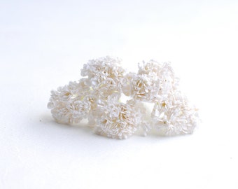 Paper Flower, Baby breath, White color.