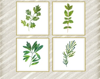 Watercolor herbs print: "HERB POSTERS" Kitchen Wall Decor botanical kitchen prints Kitchen Printable Herbs Kitchen Herb 12x12 set of 4