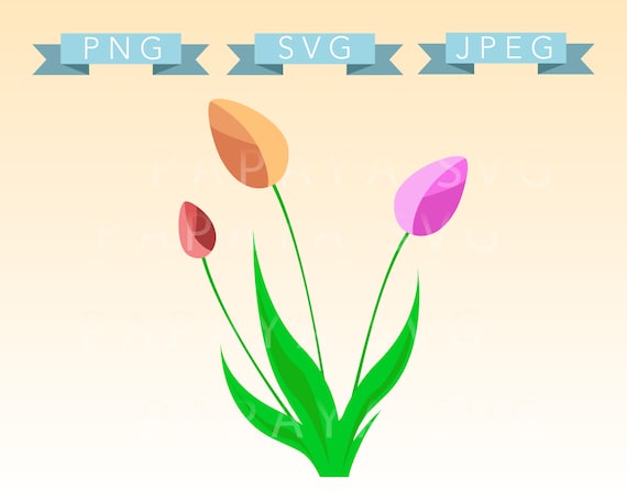 Download Tulips Cut File SVG PNG JPEG Cricut Sihouette Cameo