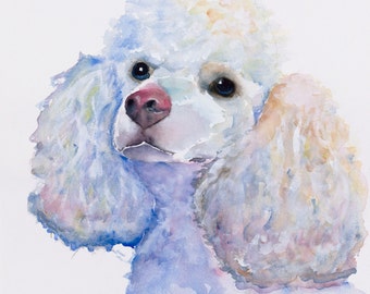 poodle watercolor painting, poodle print, white poodle painting, white poodle print, white poodle canvas, white minature poodle, poodle art,