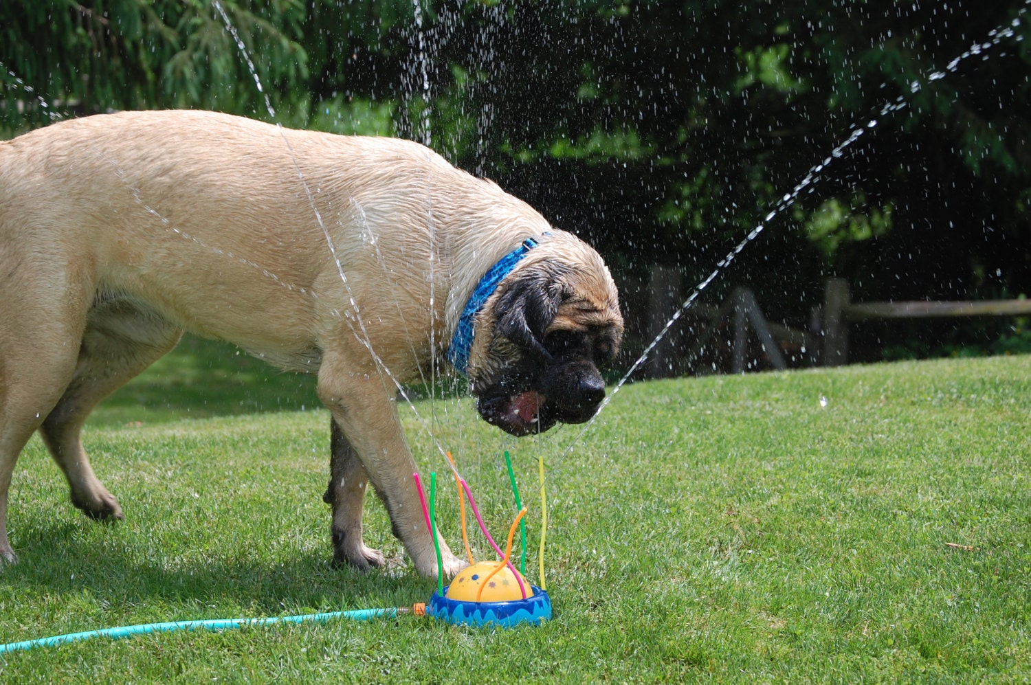 Custom Cooling Collar Dog Neck Cooler Stay Cool Tie Bandana