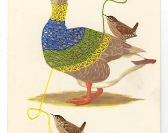 Wrens take a gander at dressing a goose. Original collage by Vivienne Strauss.