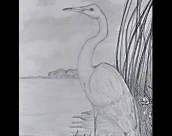 original artwork, OOAK, graphite "Heron"