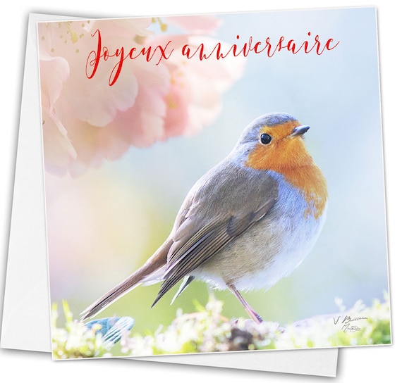  Carte  Joyeux anniversaire  rouge gorge robin birthday