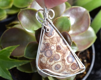 Wire Wrapped Bird's Eye Rhyolite Pendant in Argentium Silver, Handmade Orbicular Brown Cabochon Necklace