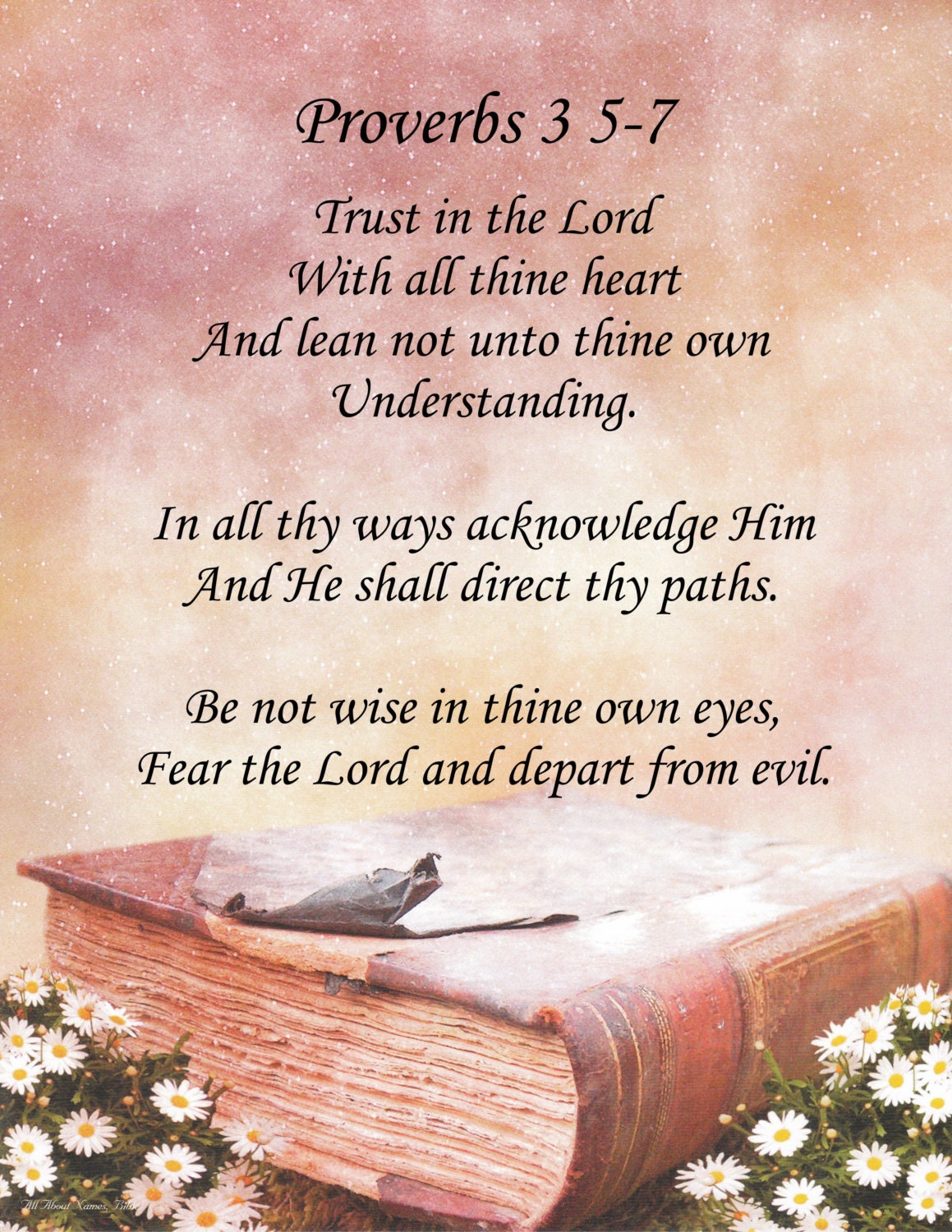 inspirational-poem-proverbs-3-5-7